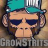 GrowStrits