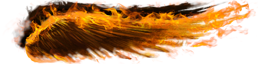 acadffcd33612e8bb9ead9c7653050a4.png
