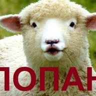 Попанские игры