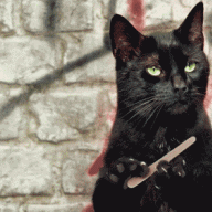 blackcat7778