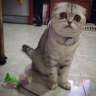 Юля Зырянова