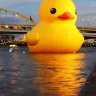 Burduck2