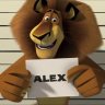 AlexGo