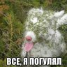 sergega609