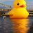 Burduck2
