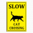 slowcat