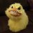 duckduckfuck