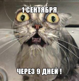Py5bScRPYPg.jpg