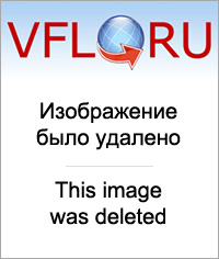 9413770.jpg