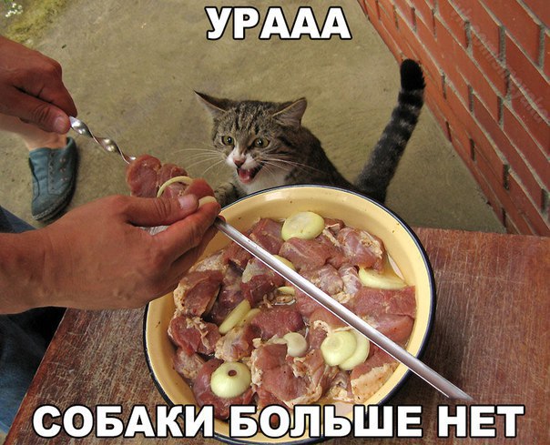 XWQQhdGfGkQ.jpg