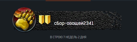 XOWniBj9CkY.jpg