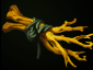 branches.png