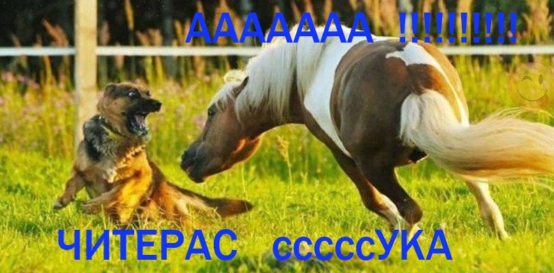 dYTJ2yeoVcA.jpg